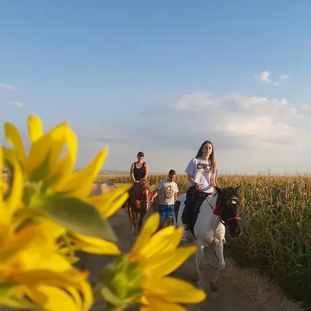 Appartement Harmonija Lux