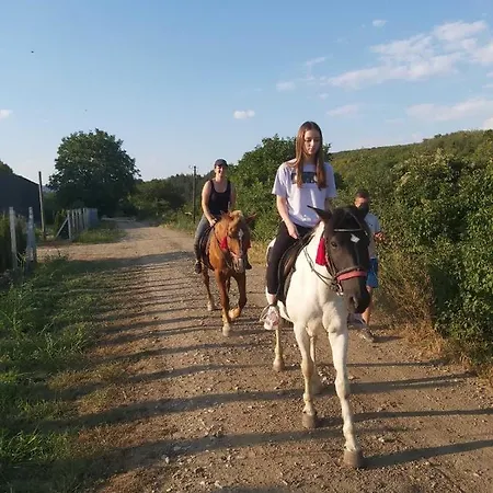 Appartement Harmonija Lux *